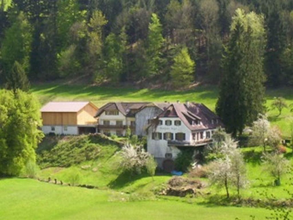 Landgasthaus Zum Engel Freiamt Extérieur photo